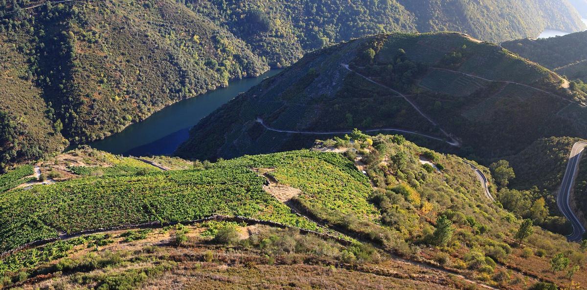 Doade, Sober. Ribeira Sacra, Lugo. Galiza
