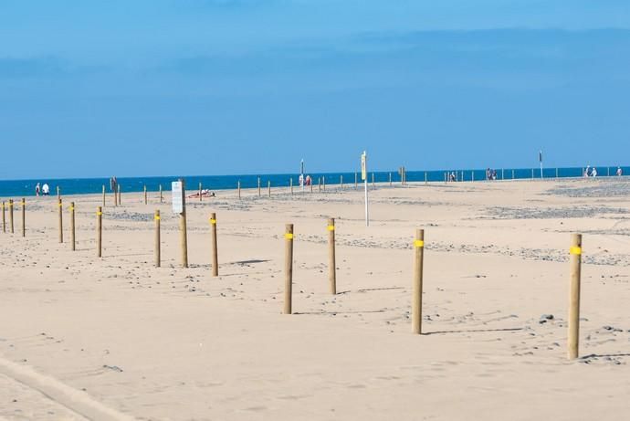 Segunda fase del proyecto de recuperación de las dunas de Maspalomas