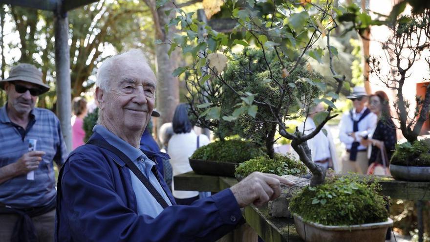 Fallece a los 97 años en Gijón el naturalista y amante de los bonsáis Rolf Beyebach: "Deja un legado muy importante"