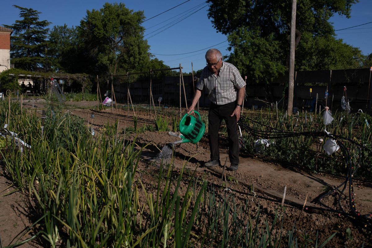 GALERÍA | Huertos municipales en Zamora: Creando comunidad entre tomates y cebollas