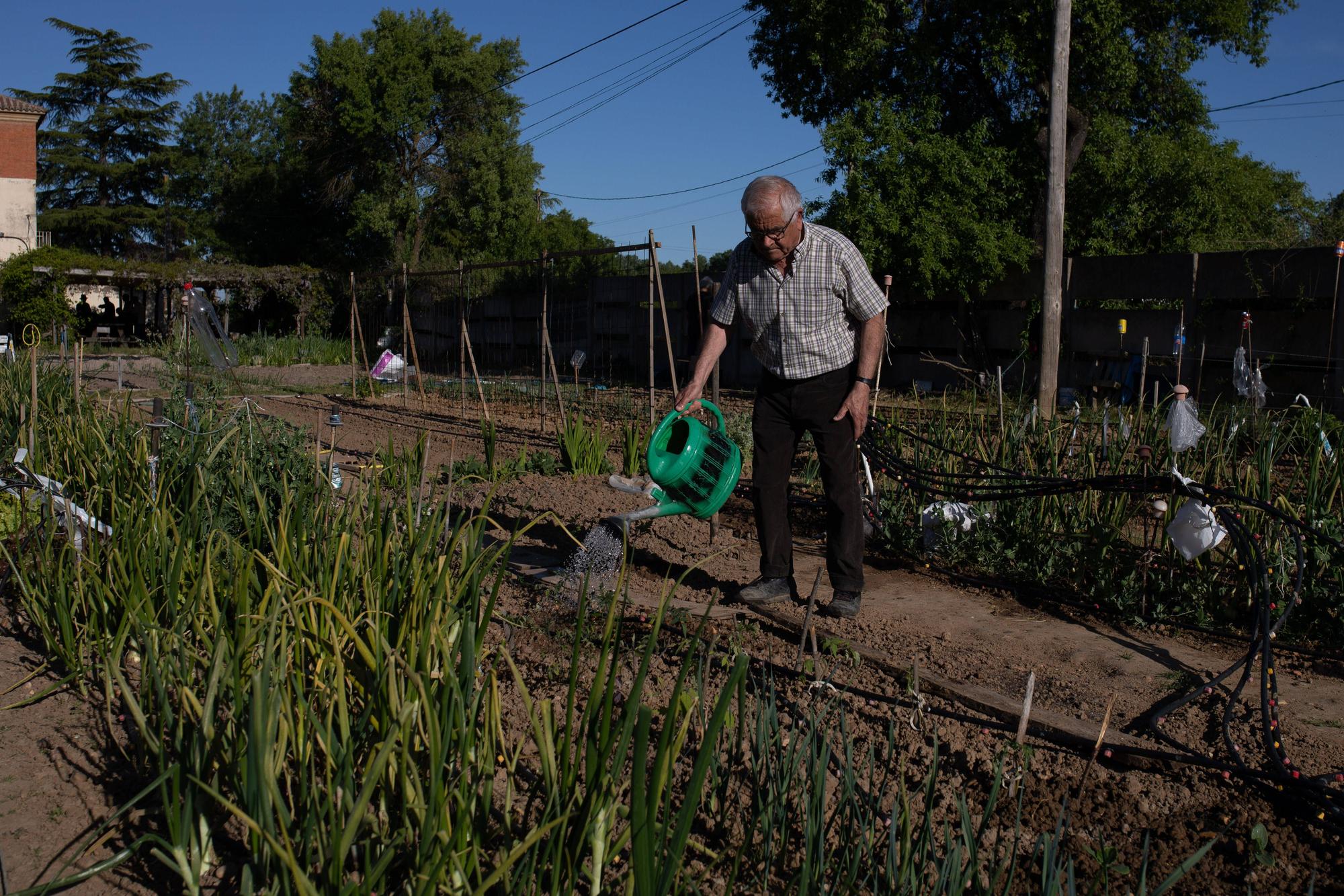 GALERÍA | Huertos municipales en Zamora: Creando comunidad entre tomates y cebollas