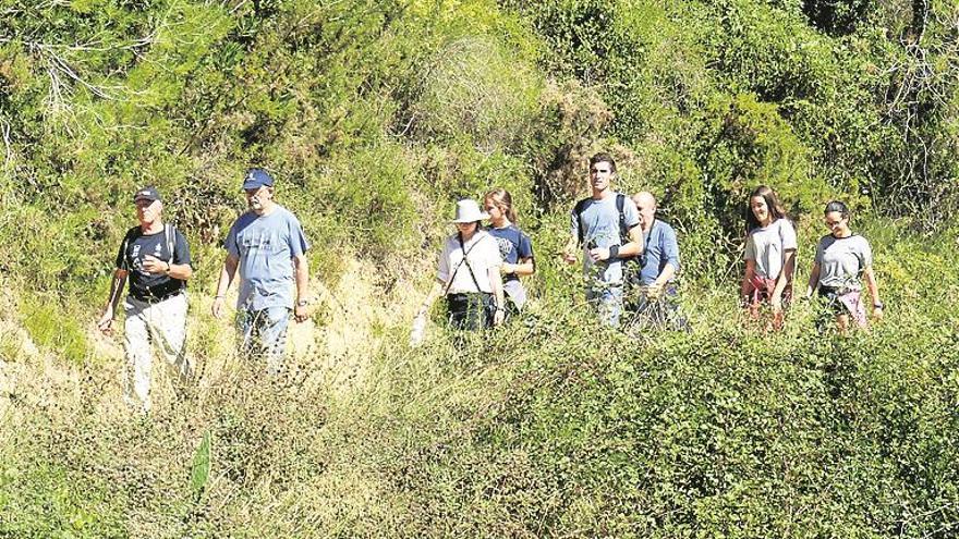 El pacto por el empleo censa la zona forestal para la biomasa