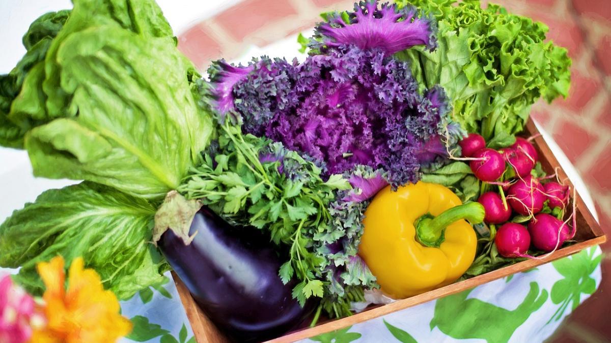 La lechuga tiende a venir mustia en numerosos paquetes, por ello debes prestar atención a su aspecto antes de comprarla