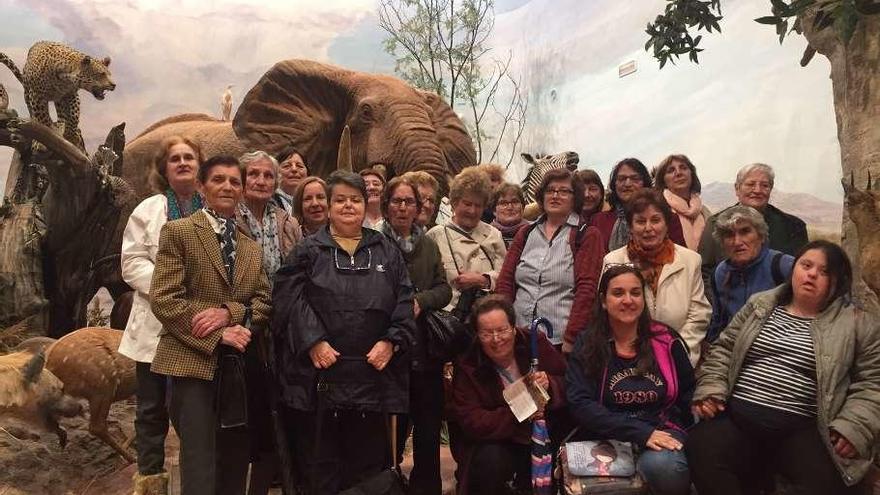 La escuela de adultos de la zona clausura el curso con una visita al Museo de la Fauna Salvaje