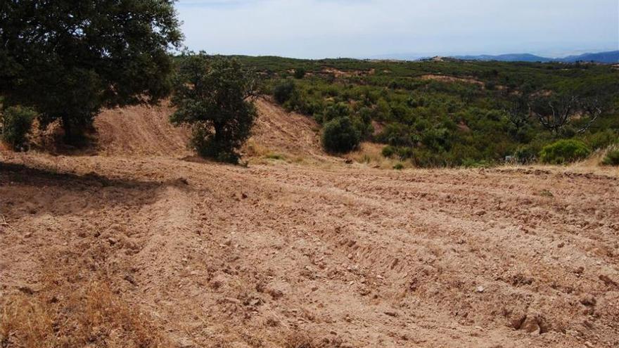 La Diputación crea la &#039;Ruta del Sitio Histórico de Cerro Muriano&#039;