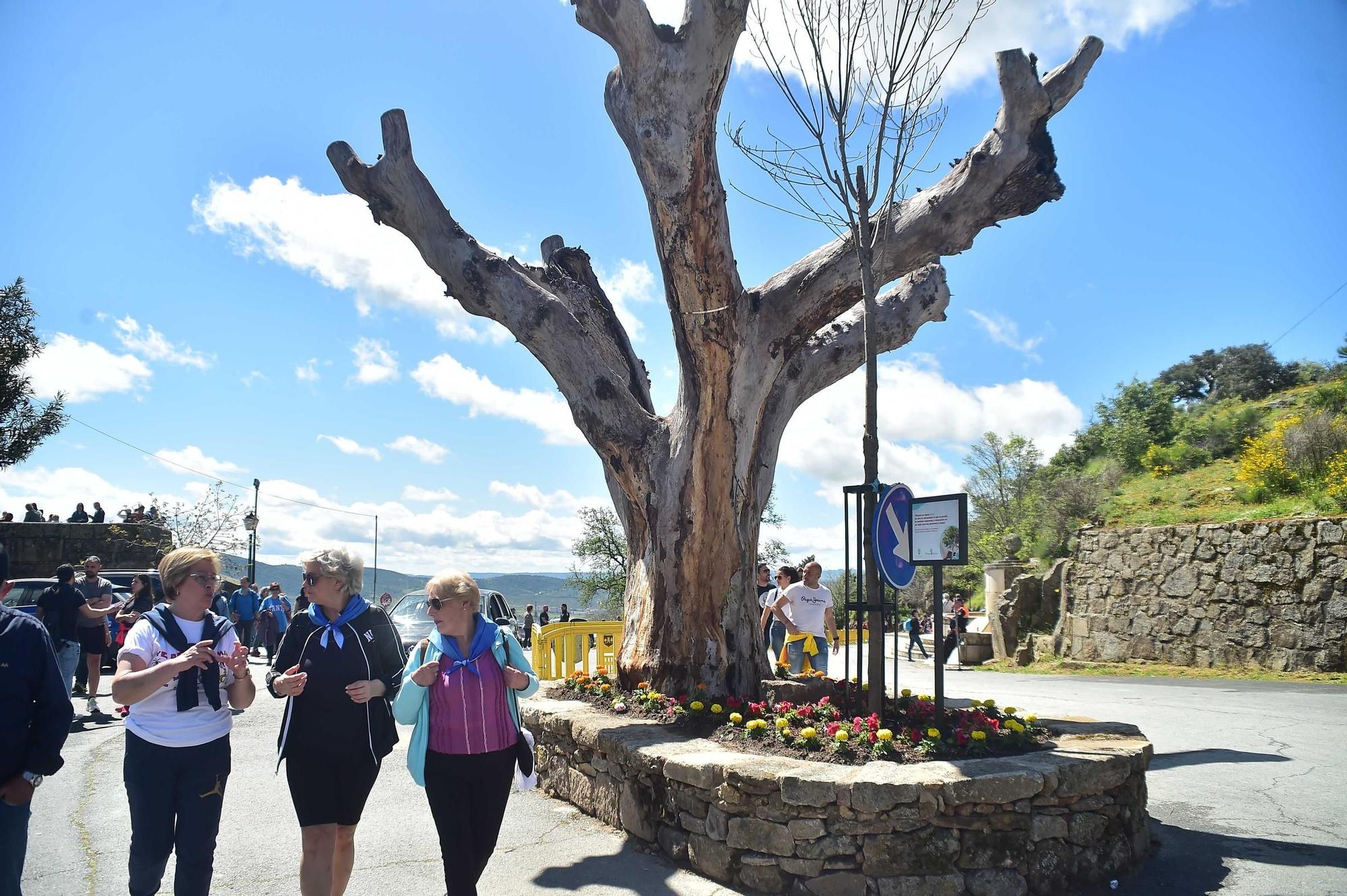 Las imágenes de la romería de la Virgen del Puerto en Plasencia