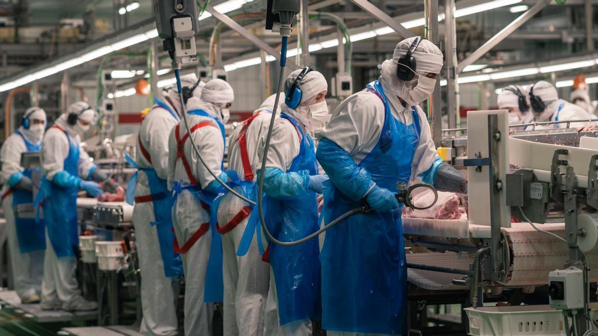 Interior d'una empresa càrnia, en una imatge d'arxiu