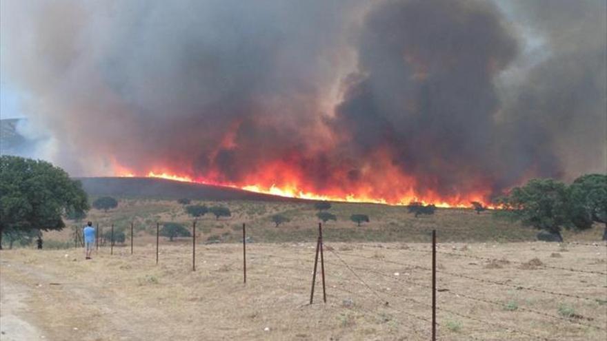 Los bomberos logran estabilizar los incendios de Cañaveral y Villanueva