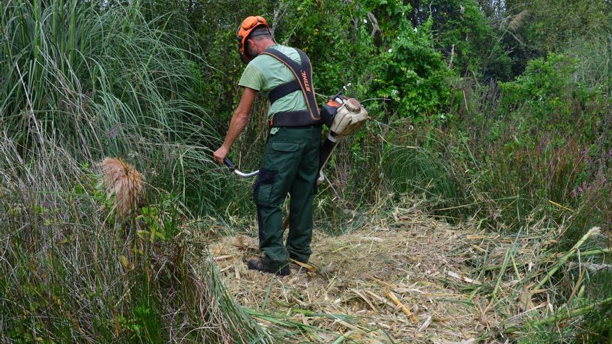 Las brigadas vigilarán este año que las fincas estén limpias para evitar incendios