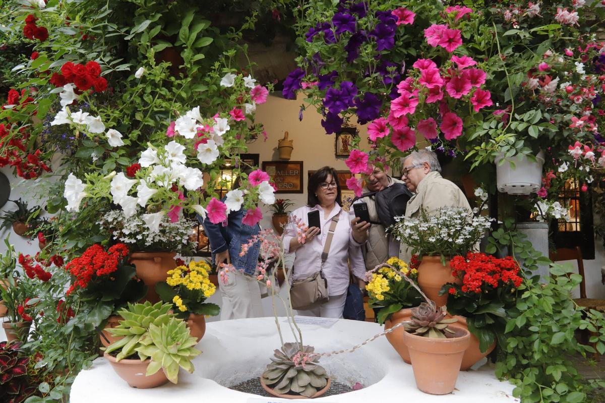 A.J.González Córdoba Concurso de patios 2026 Ruta Alcázar Viejo San Basilio Patio San Basilio 44