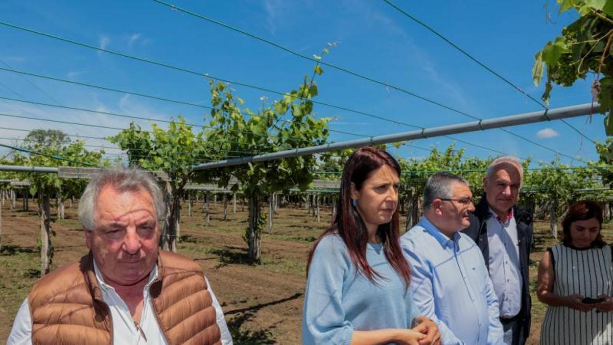 El presidente del Consello Regulador, la conselleira y el alcalde de Ribadumia.