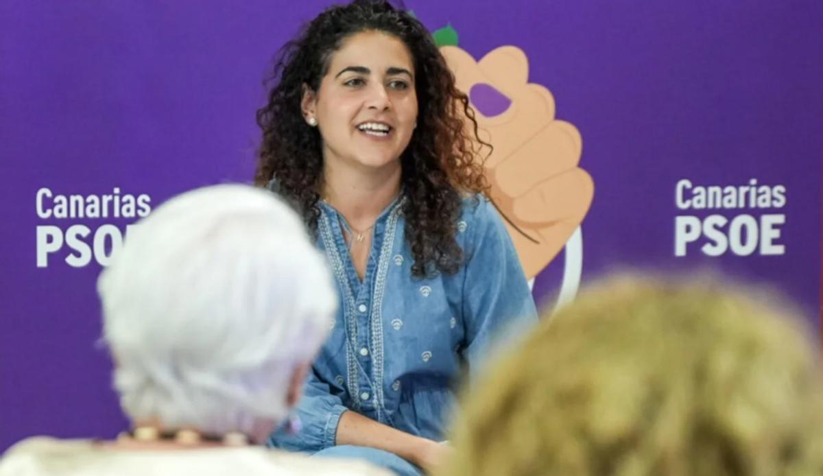 El PSOE pide sustituir una campaña del Gobierno de Carnavales