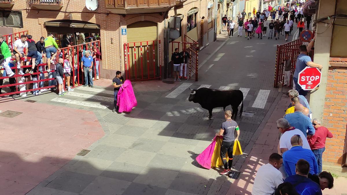 GALERÍA: El toro del cajón de La Reata, de las fiestas de Benavente, en imágenes