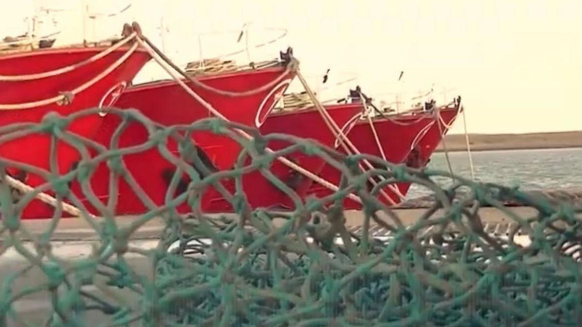Buques tangoneros parados en Mar del Plata.