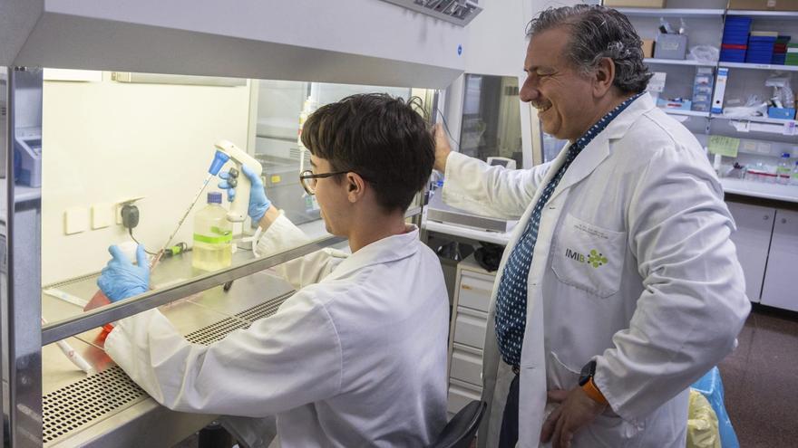 Investigadores murcianos crean una biofactoría de células para tratar heridas