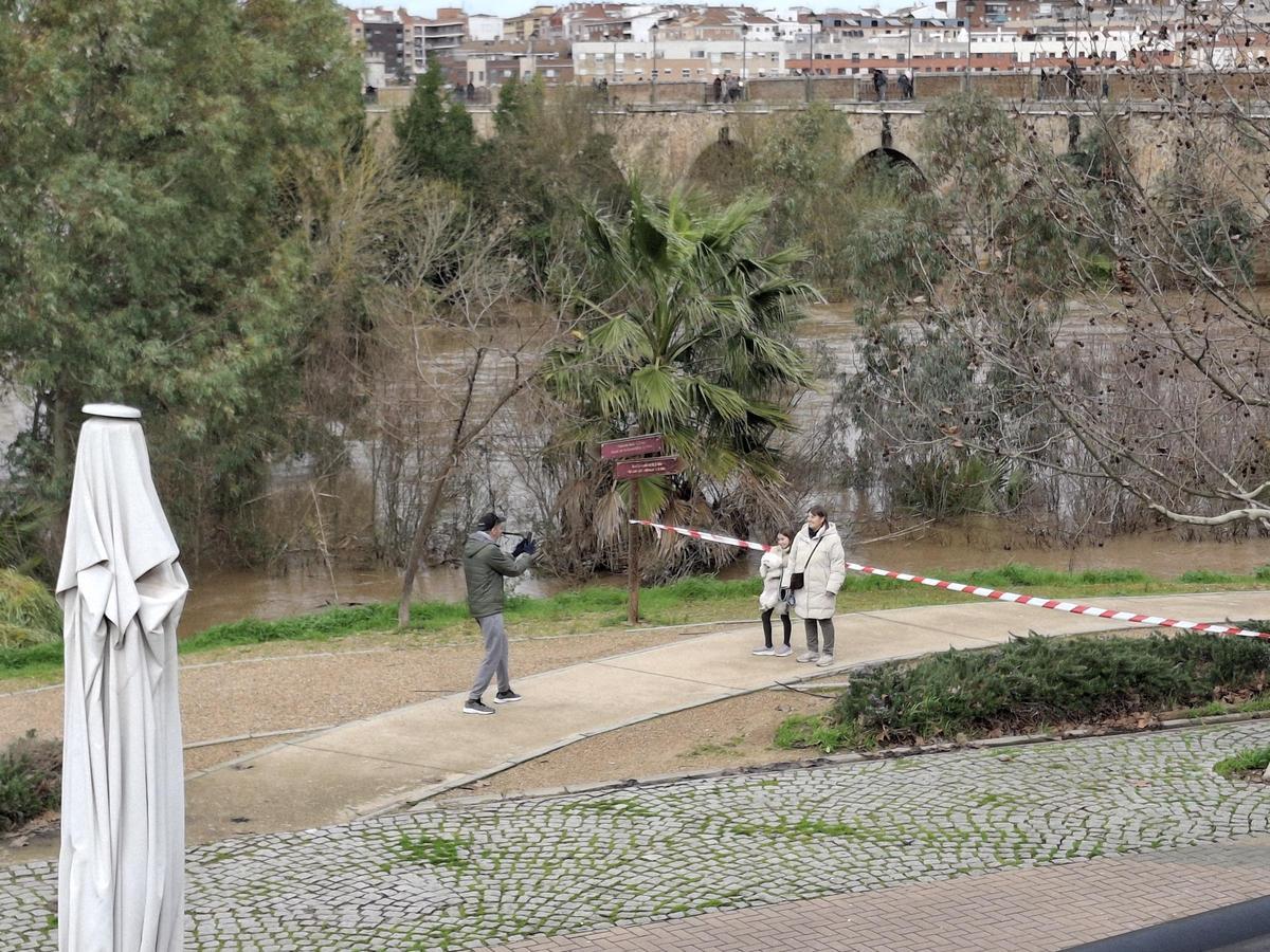 Fotogalería | El buen tiempo devuelve a los pacenses al río