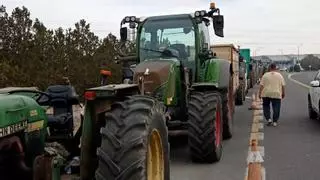Bauern-Proteste auf Mallorca: Rund 70 Traktoren blockieren Großmarkt Mercapalma