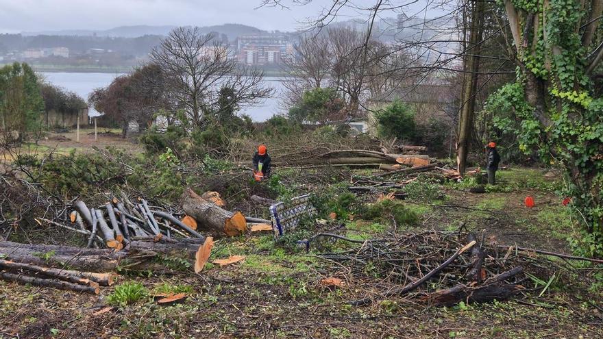 Una tala marca el inicio de los trabajos en la futura urbanización de A Xunqueira, en Oleiros