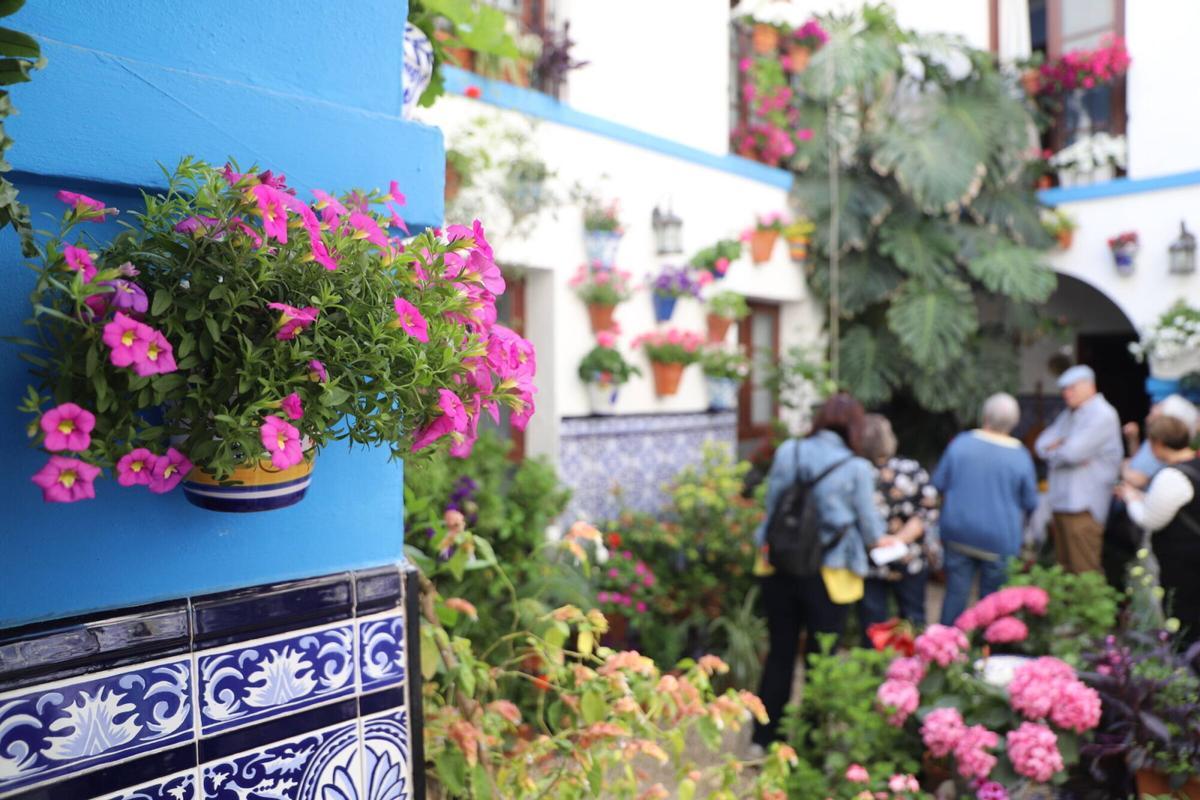 La ruta de los patios de San Pedro-Santiago, en imágenes