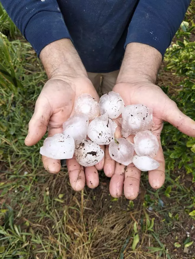 Estas son las consecuencias de la granizada en Vilavella
