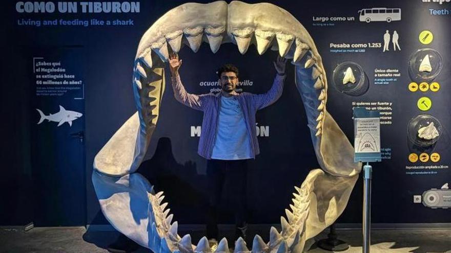 Nueve especies de tiburones y una mandíbula de tres metros: así es la nueva exposición del Acuario de Sevilla