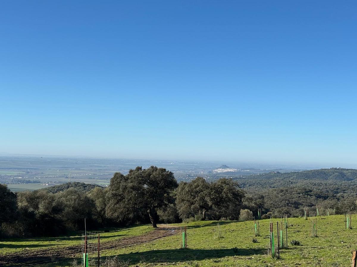 Almodóvar del Río, al fondo, desde la sierra de Córdoba.