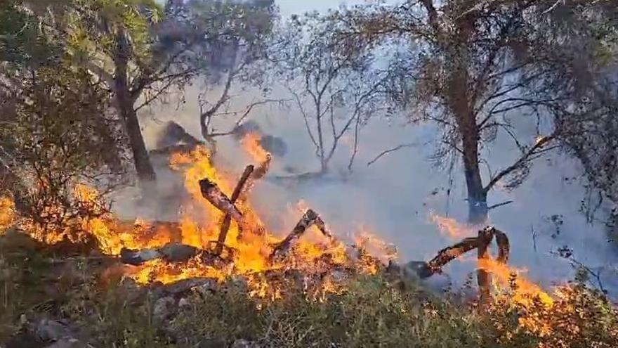 Imagen del incendio que este martes por la tarde se ha declarado en Almenara.