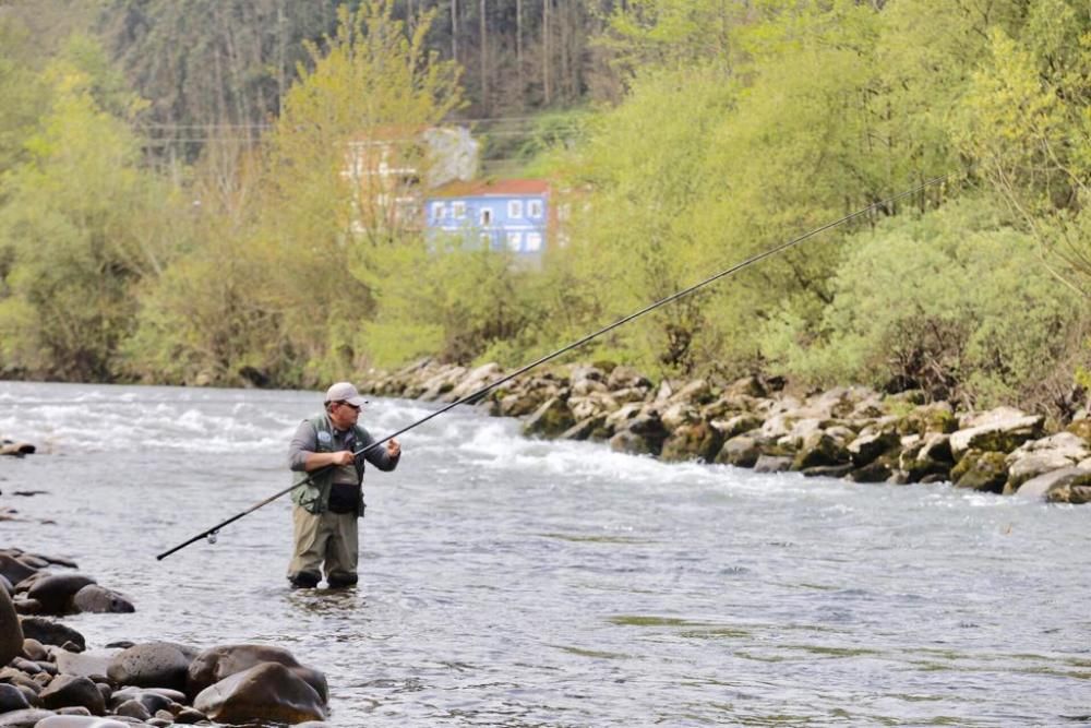 Pescadores en el Narcea.