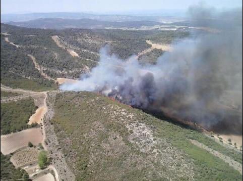 Incendio forestal en Bocairent