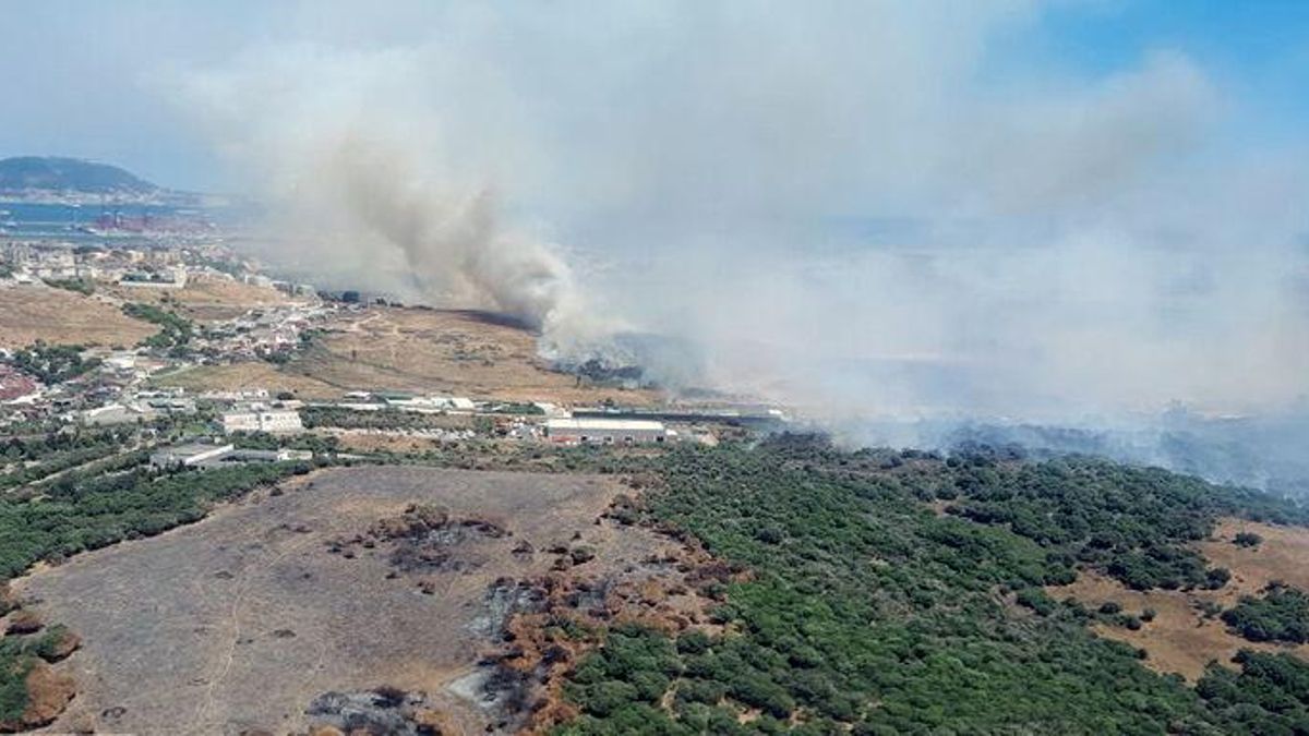 Efectivos del Plan Infoca combaten un incendio que se ha declarado poco después de las 13.30 horas en Algeciras (Cádiz).