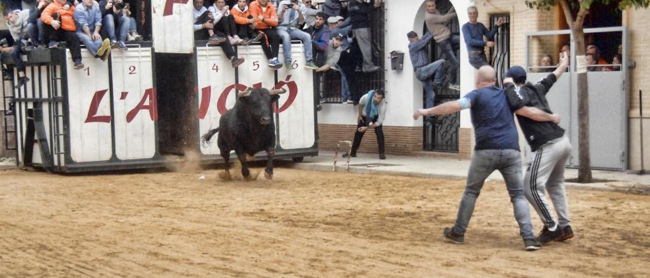 Los &quot;bous al carrer&quot; siguen despuntando