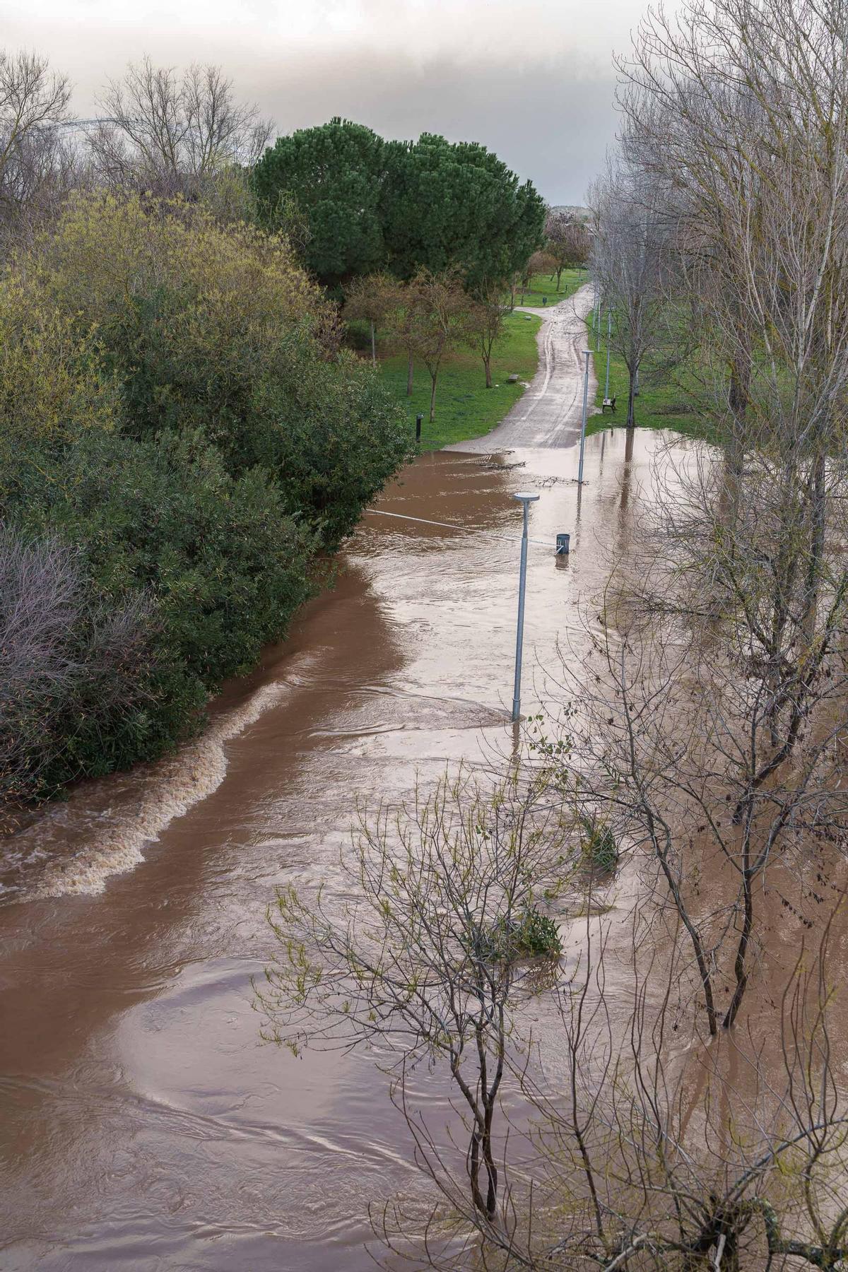 Fotogalería | Así se encuentra este viernes la isla de Mérida tras la subida que ha experimentado el caudal del Guadiana