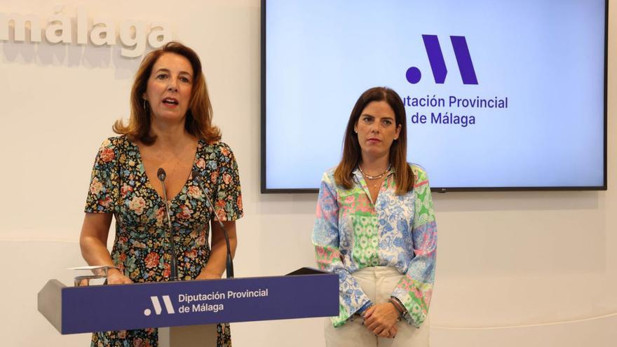 La Diputación de Málaga facilitará los cuidados a menores de 16 a domicilio y en edificios públicos