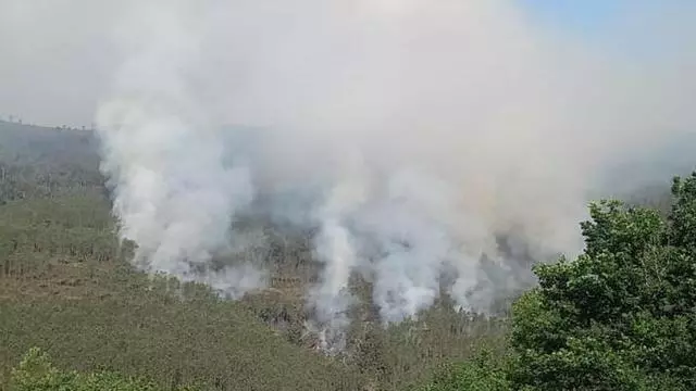 El fuego avanza por el monte en Boborás