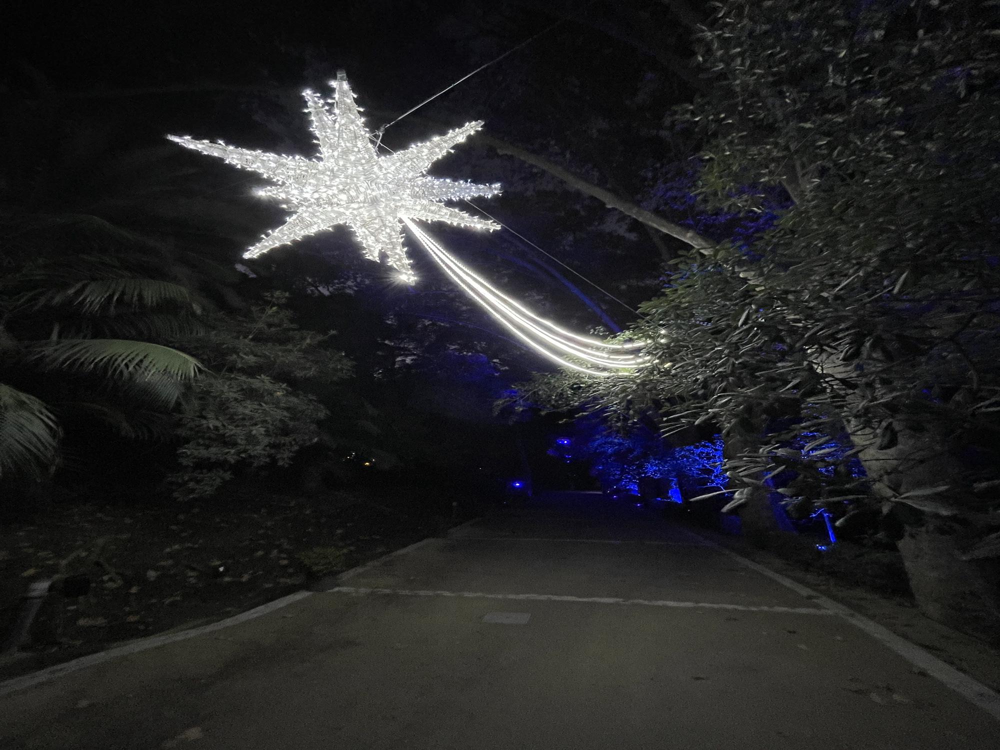 El Jardín Botánico Histórico La Concepción enciende sus luces de Navidad