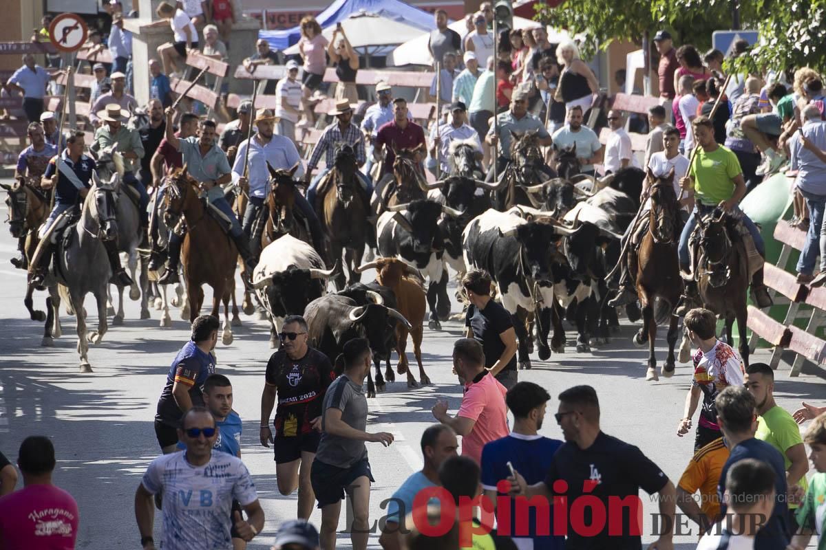 Sexto encierro de las Fiestas de Moratalla