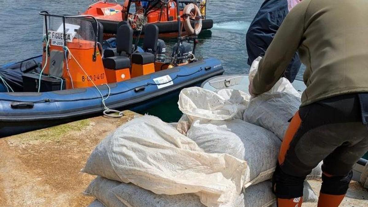 Mejilla decomisada por Gardacostas de Galicia.