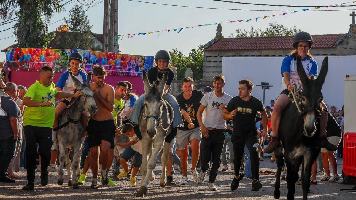 Una edición anterior de la carrera de burras de San Roque do Monte.