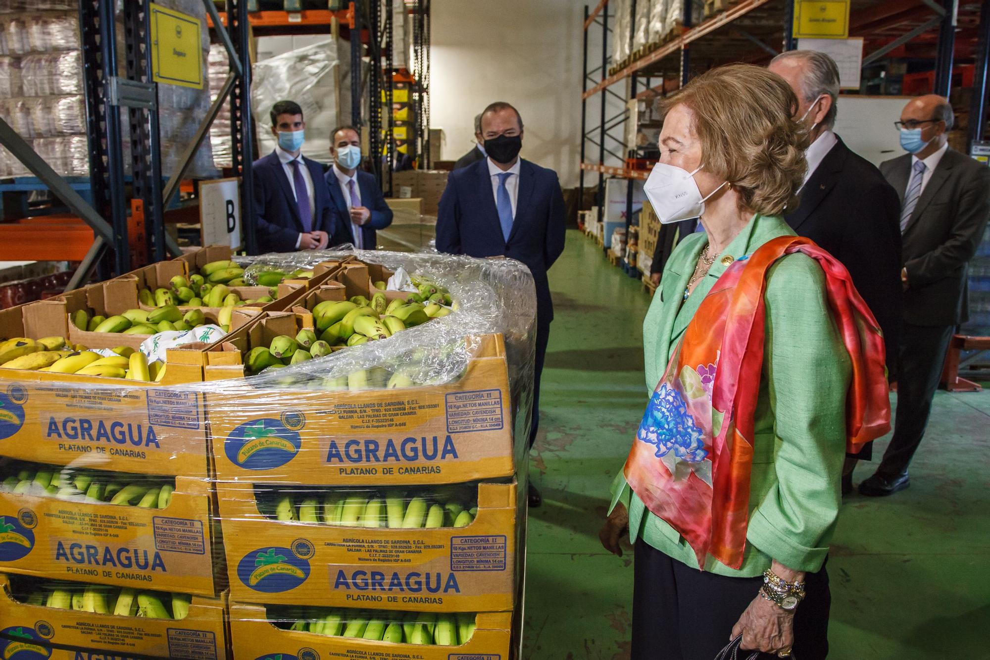 La Reina Sofía conoce el trabajo del Banco de Alimentos de Las Palmas de Gran Canaria