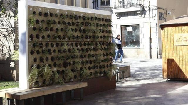 Jardín vertical de la plaza de Fernández Duro. | VÍCTOR GARRIDO