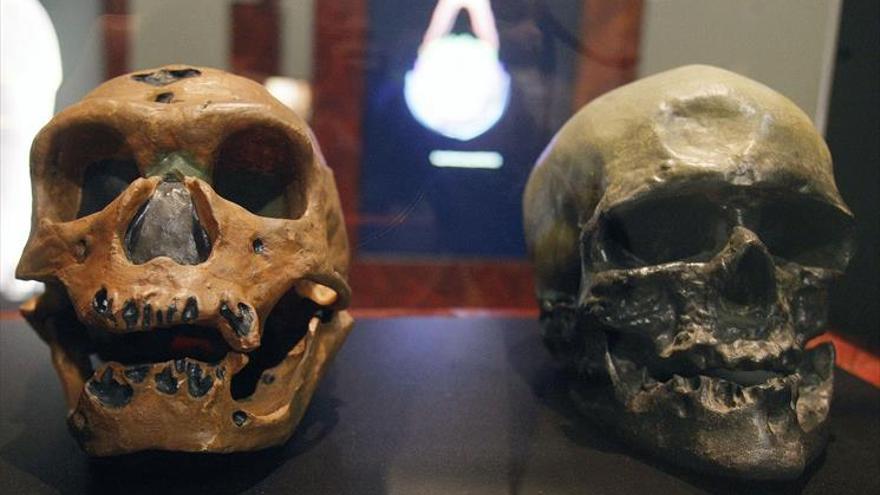 Un estudio confirma el cruce entre los neandertales y los denisovanos