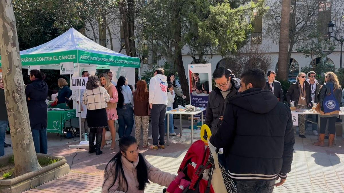 Así ha sido la Feria Educativa de Aldea Moret