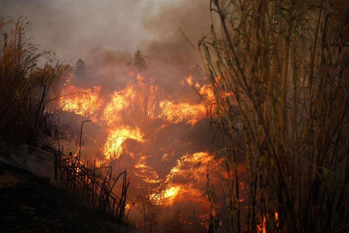 Grecia intensifica su lucha contra el fuego