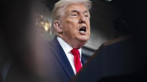 "Donald Trump, payaso y rey a al vez"