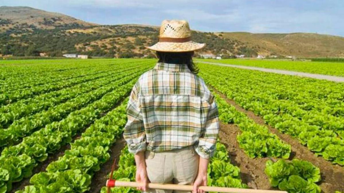 Una agricultora en el rural