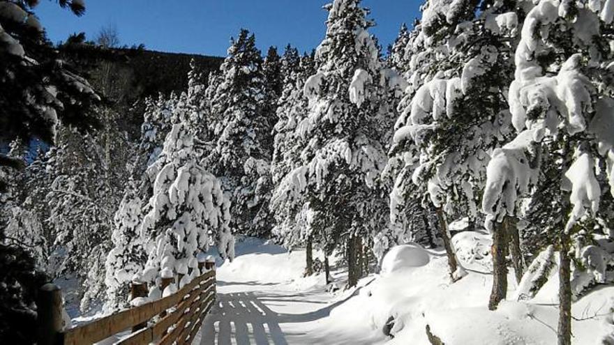L&#039;estació d&#039;esquí de fons de Guils Fontanera, després de les nevades