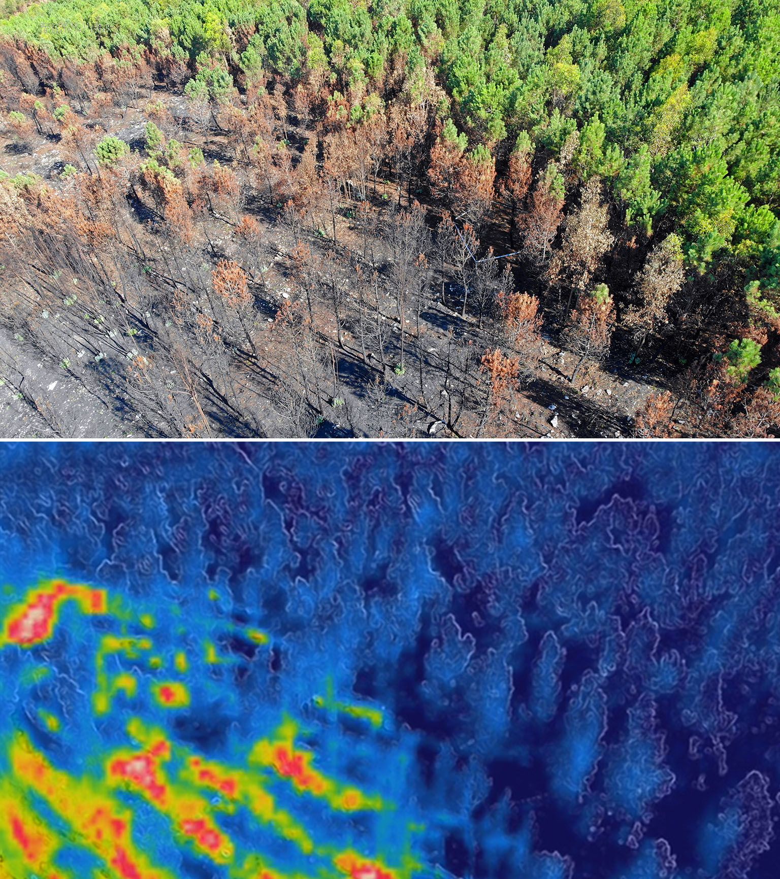 Rastreadores de incendios