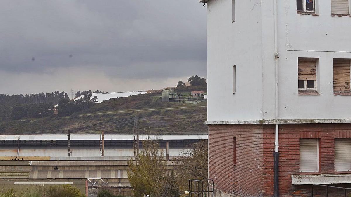 Zonas verdes sin mantenimiento en el poblado de Endasa, en la parroquia gozoniega de Laviana. | Mara Villamuza