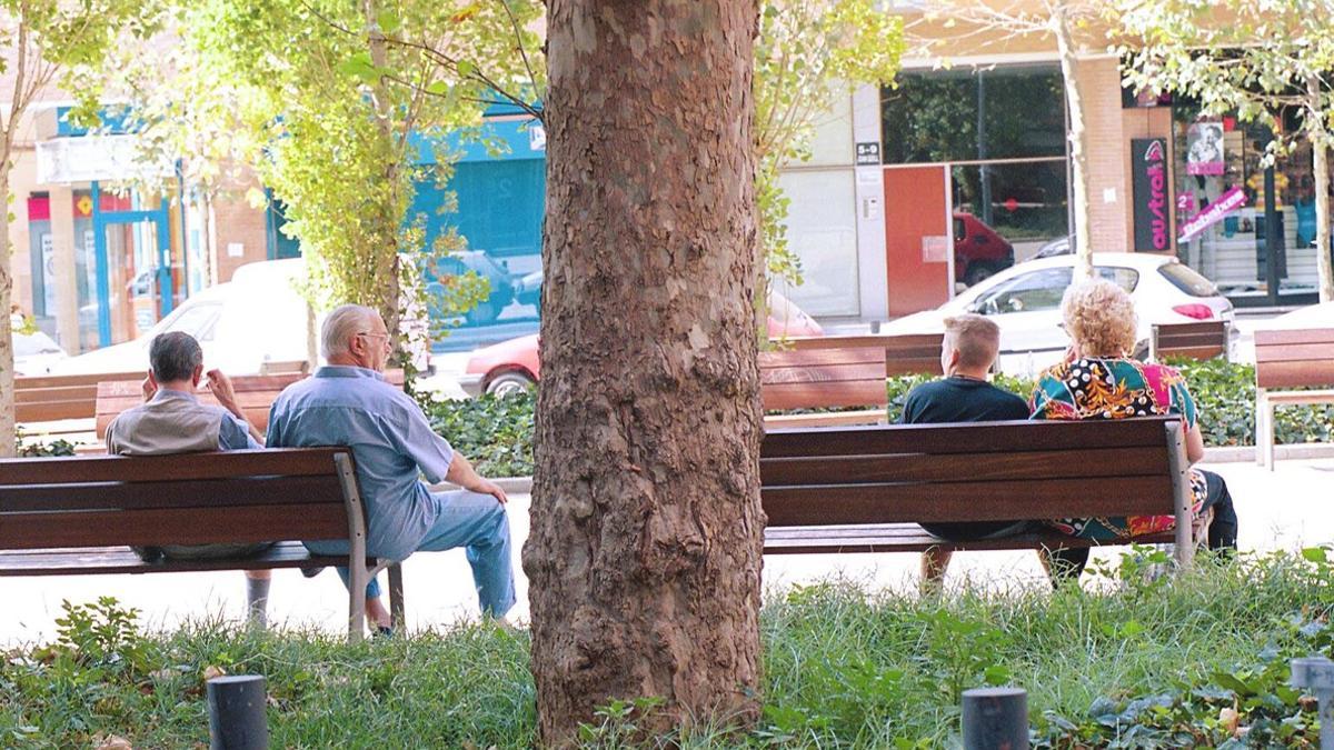 Dos parejas descansan en unos bancos a la sombra de un plátano, en Barcelona.