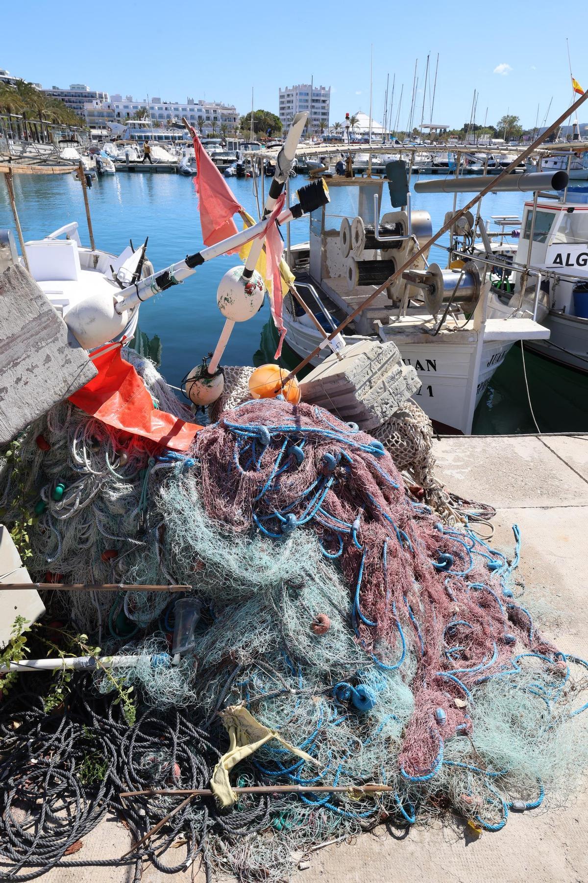 La VIII Fira del Peix i del Marisc en imágenes La VIII Fira del Peix i del Marisc en imágenes